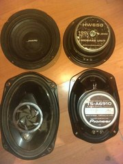 Породам колонки . задние и передние.